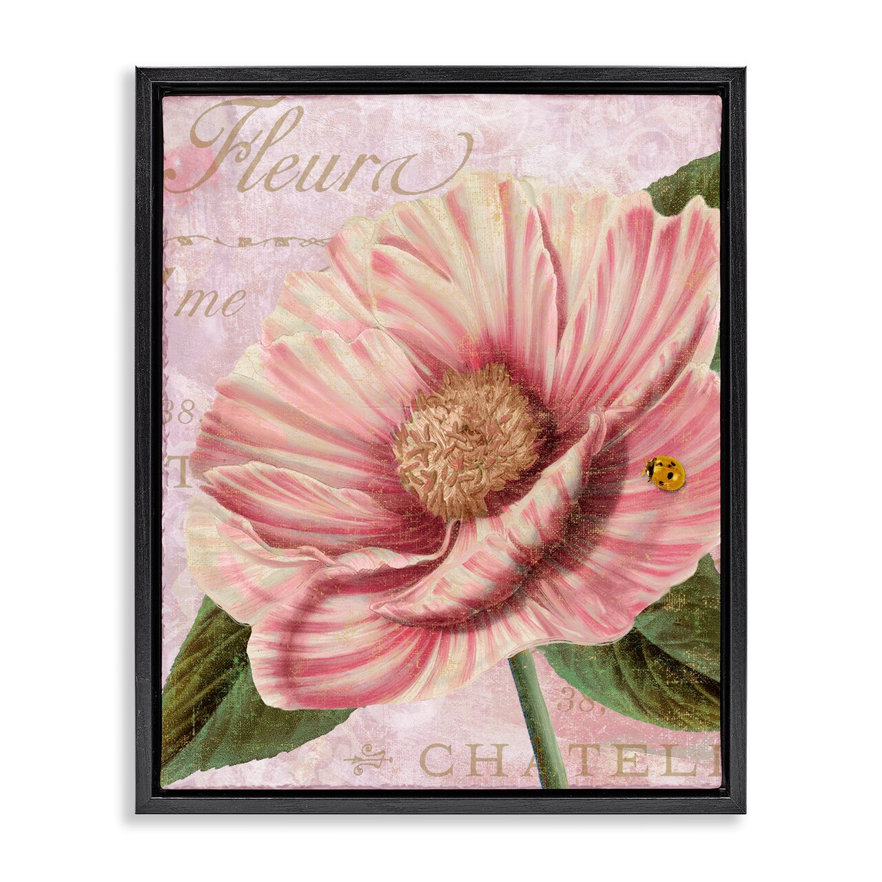 Stupell Industries French Flower & Ladybug Floating Frame Design by Sasha